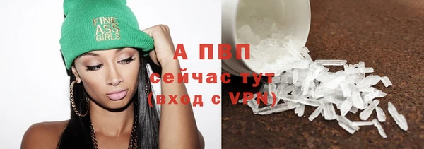 стафф Медногорск