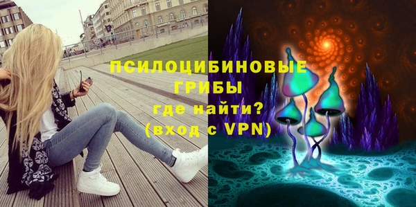 прущая мука Армянск