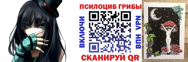 ссылка на мегу вход  Петропавловск-Камчатский  Псилоцибиновые грибы Psilocybine cubensis  сколько стоит 