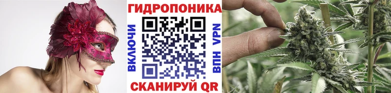 Бошки Шишки THC 21% Петропавловск-Камчатский